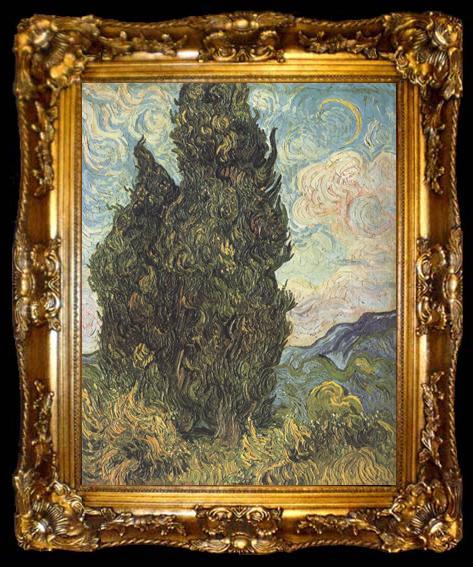 framed  Vincent Van Gogh Cypresses (nn04), ta009-2